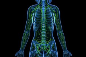 Benefits of Lymphatic Wellness Massage [Not Just for Cancer Patients]
