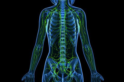 Read more about the article Benefits of Lymphatic Wellness Massage [Not Just for Cancer Patients]